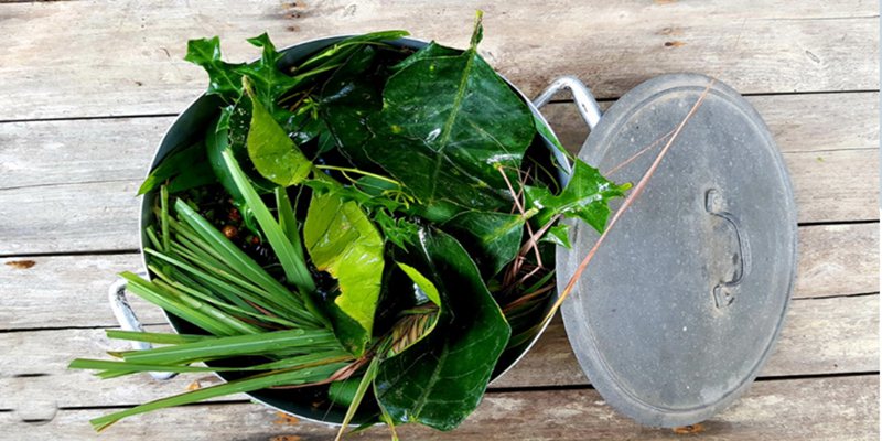 Xông hơi từ các loại lá cũng là cách hiệu quả để giảm thân nhiệt