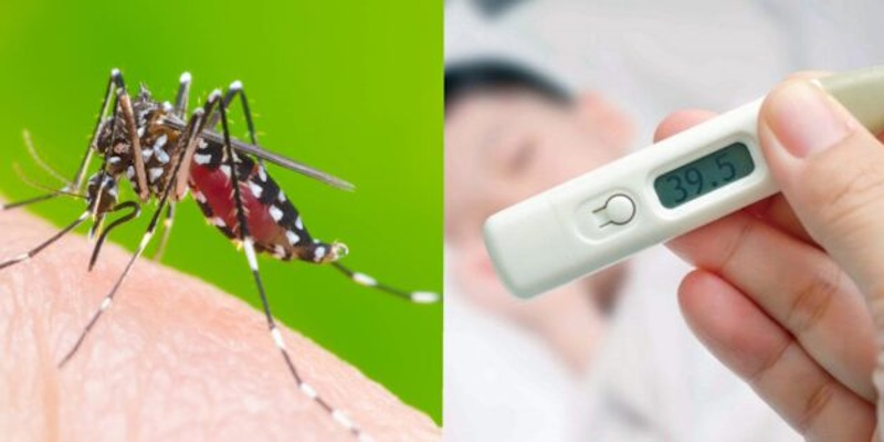 Triệu Chứng Sốt Xuất Huyết Ở Trẻ Em Cha Mẹ Không Nên Bỏ Qua