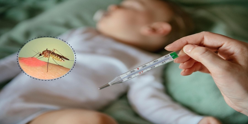 Triệu Chứng Sốt Xuất Huyết Ở Trẻ Em Cha Mẹ Không Nên Bỏ Qua